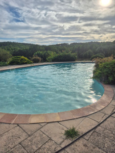 Photo de galerie - Entretien piscine