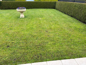 Photo de galerie - Entretien complet d’espaces verts Tonte, finitions propres, taille des haies, désherbage et évacuation des déchets verts. Un jardin net, homogène et respectueux de l’environnement.