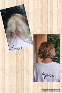 Photo de galerie - .