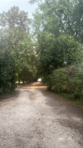 Photo de galerie - Remise en état 