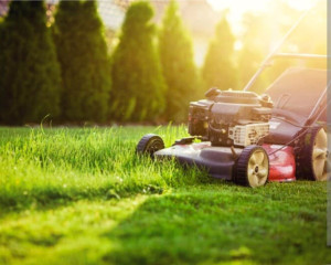 Photo de galerie - Je peux effectuer votre tonte de pelouse.
