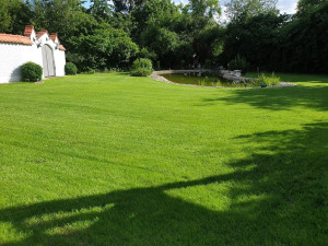 Photo de galerie - Entretien de pelouse et tonte de grand jardin.

Tonte régulière réalisée pour conserver un gazon dense, propre et bien structuré tout au long de la saison. Un entretien adapté permet de garder une pelouse esthétique et résistante.