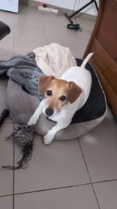 Photo de galerie - .