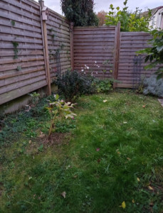 Photo de galerie - Paysagiste - Aménagement du jardin