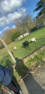 Photo de galerie - Balade au halage 