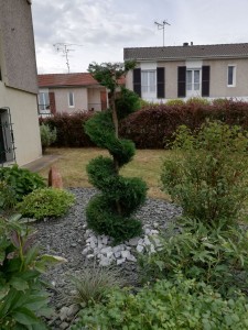 Photo de galerie - Taille 
