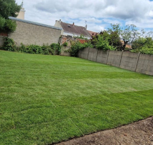 Photo de galerie - Création de pelouse en rouleau