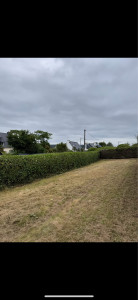 Photo de galerie - Taille de haies et d'arbustes