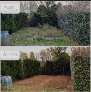 Photo de galerie - Taille de haie et d’arbustes 