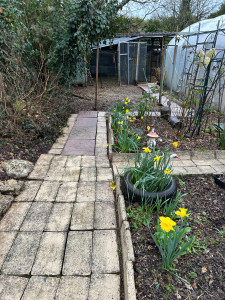 Photo de galerie - Paysagiste - Aménagement du jardin