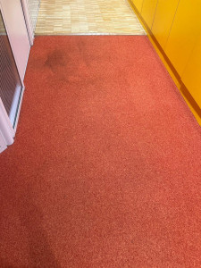 Photo de galerie - Préparation - nettoyage de salle