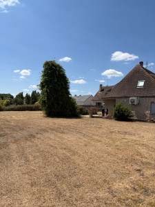 Photo de galerie - Tonte 