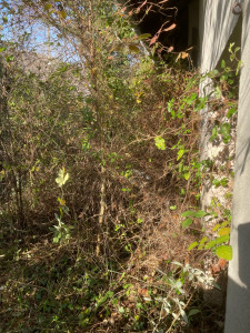 Photo de galerie - Avant