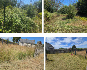 Photo de galerie - Tonte et débroussaillage