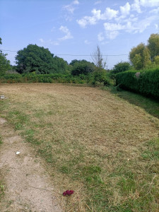 Photo de galerie - Débroussaillage d'un terrain en friche depuis trois ans.