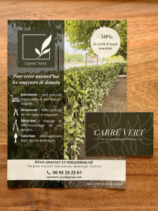 Photo de galerie - Flyers + carte de visite