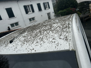 Photo de galerie - Lavage auto