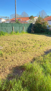 Photo de galerie - Tonte 