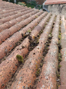 Photo de galerie - Demoussage 