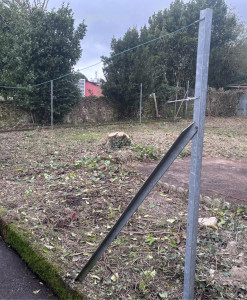 Photo de galerie - Abattage après 