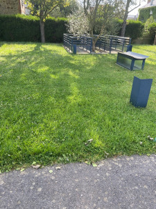 Photo de galerie - Tonte de pelouse - Débroussaillage