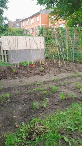 Photo de galerie - Jardinier