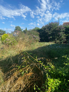 Photo de galerie - Débroussaillage de jardin 