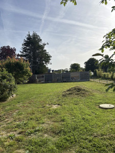 Photo de galerie - Tonte de pelouse