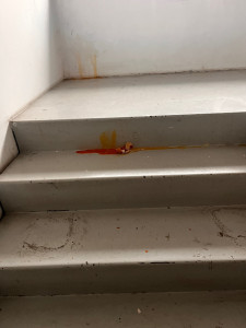 Photo de galerie - Entretien 