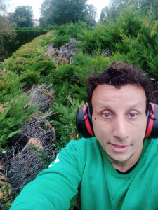 Photo de galerie - Taille de haies et d'arbustes