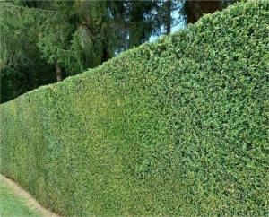 Photo de galerie - Voilà quelques exemples de notre travail