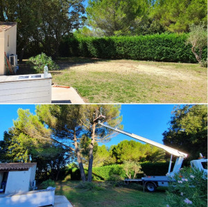 Photo de galerie - Paysagiste - Aménagement du jardin