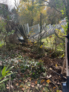 Photo de galerie - Paysagiste - Aménagement du jardin