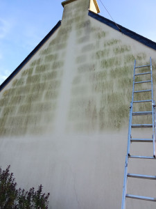 Photo de galerie - Avant le nettoyage de pignon