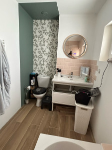 Photo de galerie - Séparation toilette/ salle de bain par la décoration et la peinture 