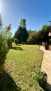 Photo de galerie - Remise en état du jardin avec tonte et débroussaillage, pour retrouver un espace propre et soigné.