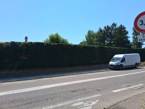 Photo de galerie - Taille de haies et d'arbustes