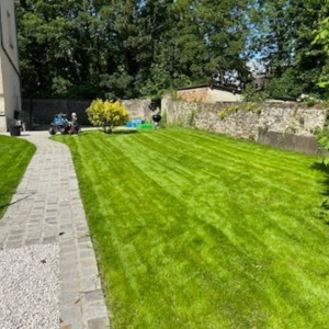 Photo de galerie - Création de gazon en semis 
Devis gratuit 
