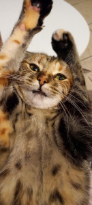 Photo de galerie - Joy en plein calin