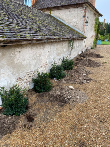 Photo de galerie - Paysagiste - Aménagement du jardin