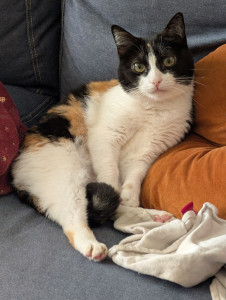 Photo de galerie - Ma fille