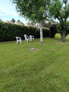 Photo de galerie - Tonte de pelouse - Débroussaillage