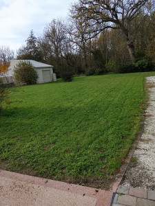 Photo de galerie - Tonte pelouse 