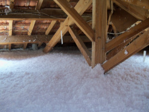 Photo de galerie - Charpente