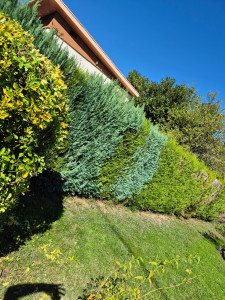 Photo de galerie - Début de chantier 