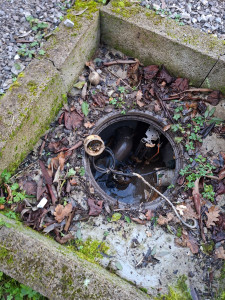 Photo de galerie - Installation électrique