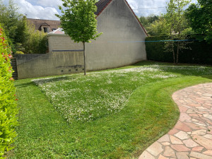 Photo de galerie - Réalisation d’une tonte raisonnée avec ramassage 