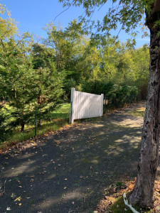 Photo de galerie - Elagage et coupe d'arbres