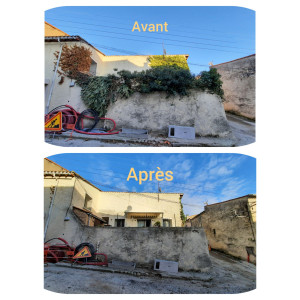 Photo de galerie - Tonte de pelouse - Débroussaillage