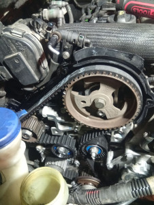 Photo de galerie - Distribution 
